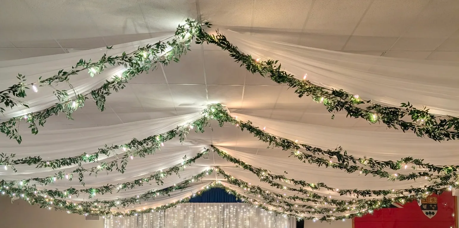 Ceiling Drape