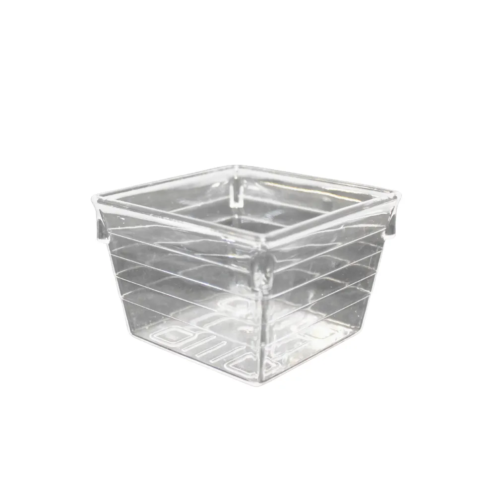 Square Acrylic Ramekins