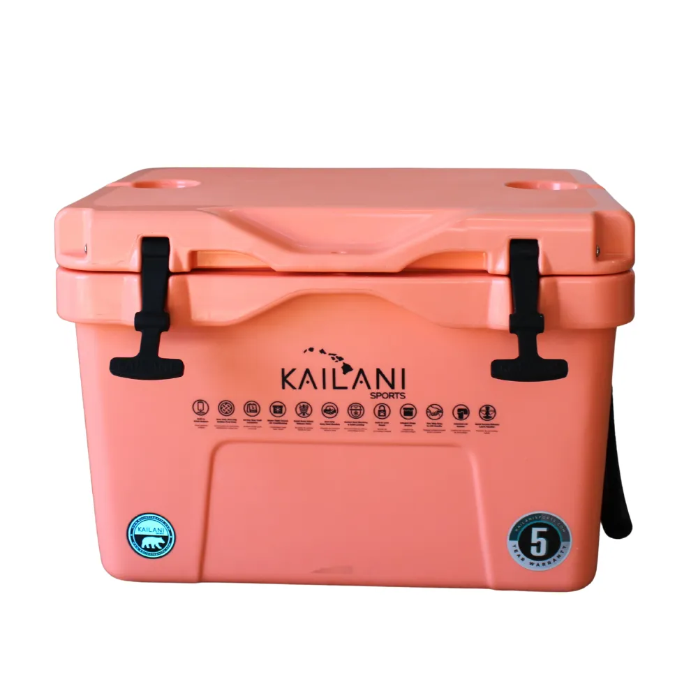 Picnic Cooler