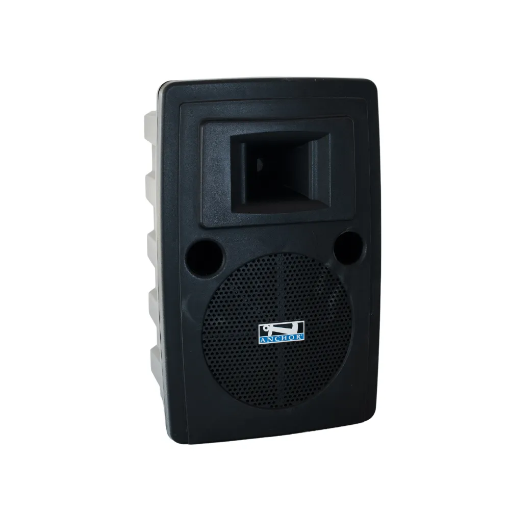 Companion Speaker