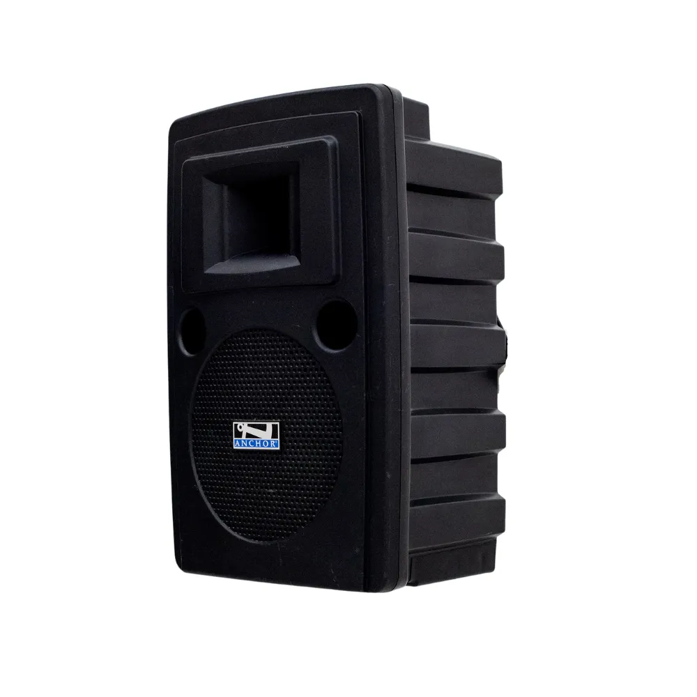 Main Speaker