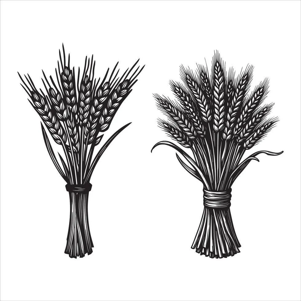 Wheat Bundles