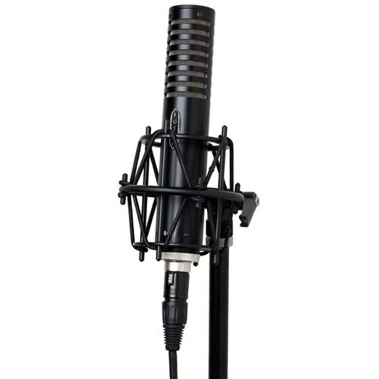Royer R-101 Ribbon Microphone