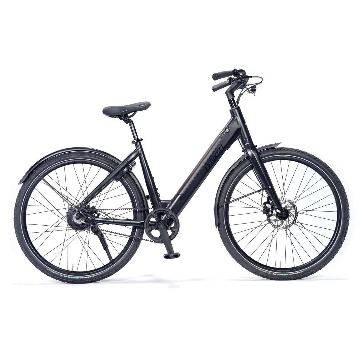 E-bike Bikkel of Vogue