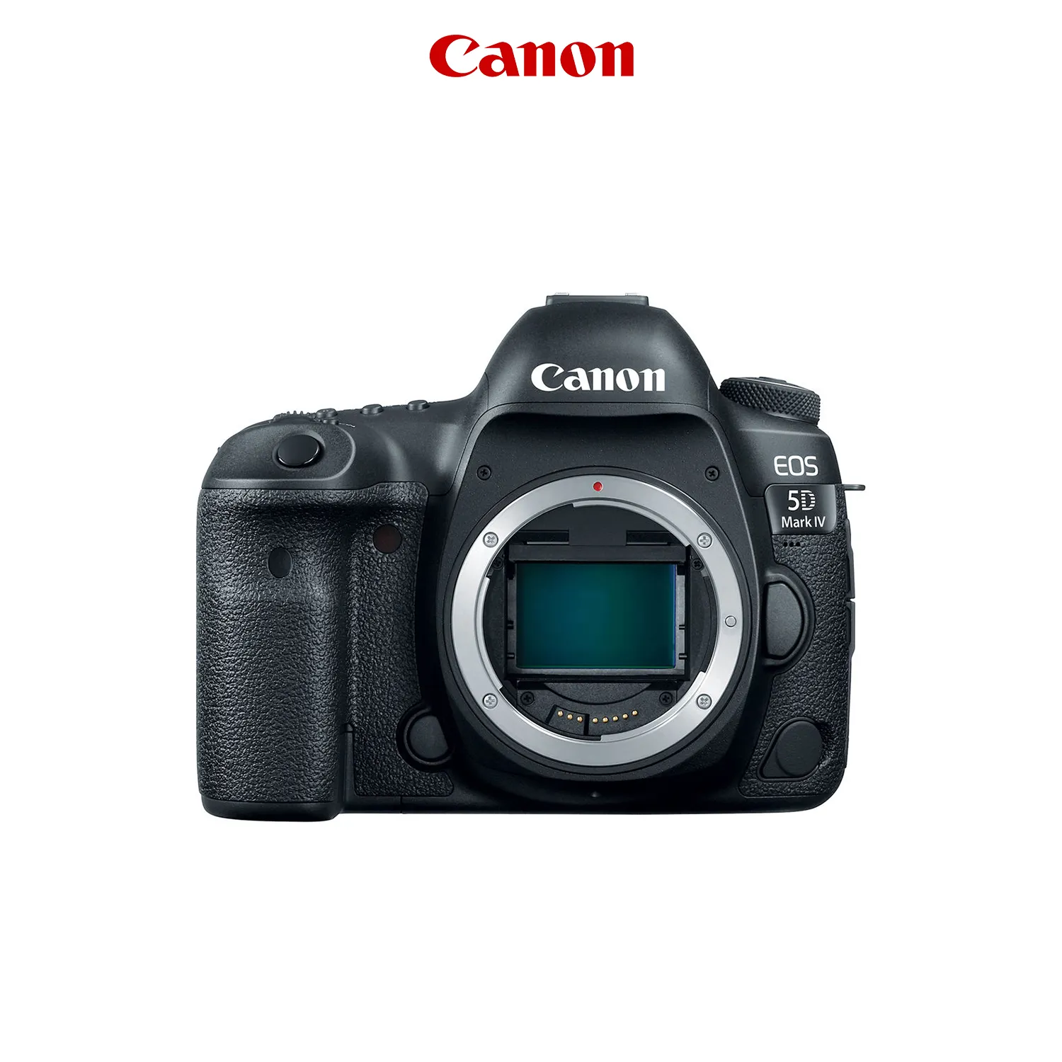 CANON 5D MARK4 (SD)