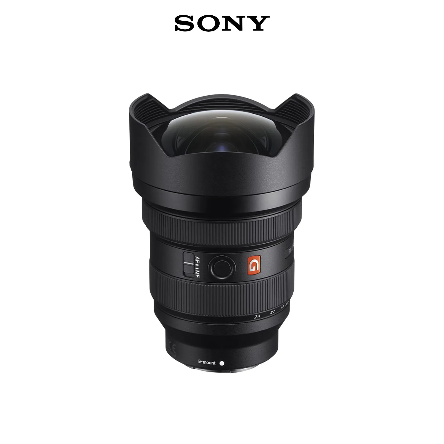 SONY 12-24 GM