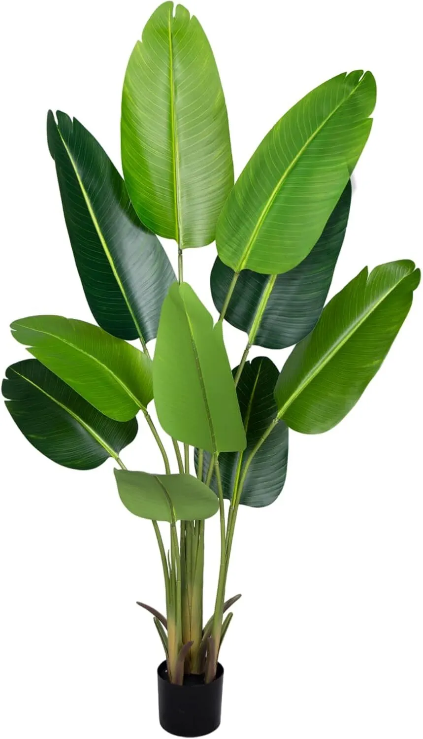 Birds of Paradise plant/ Fake Banana Leaf