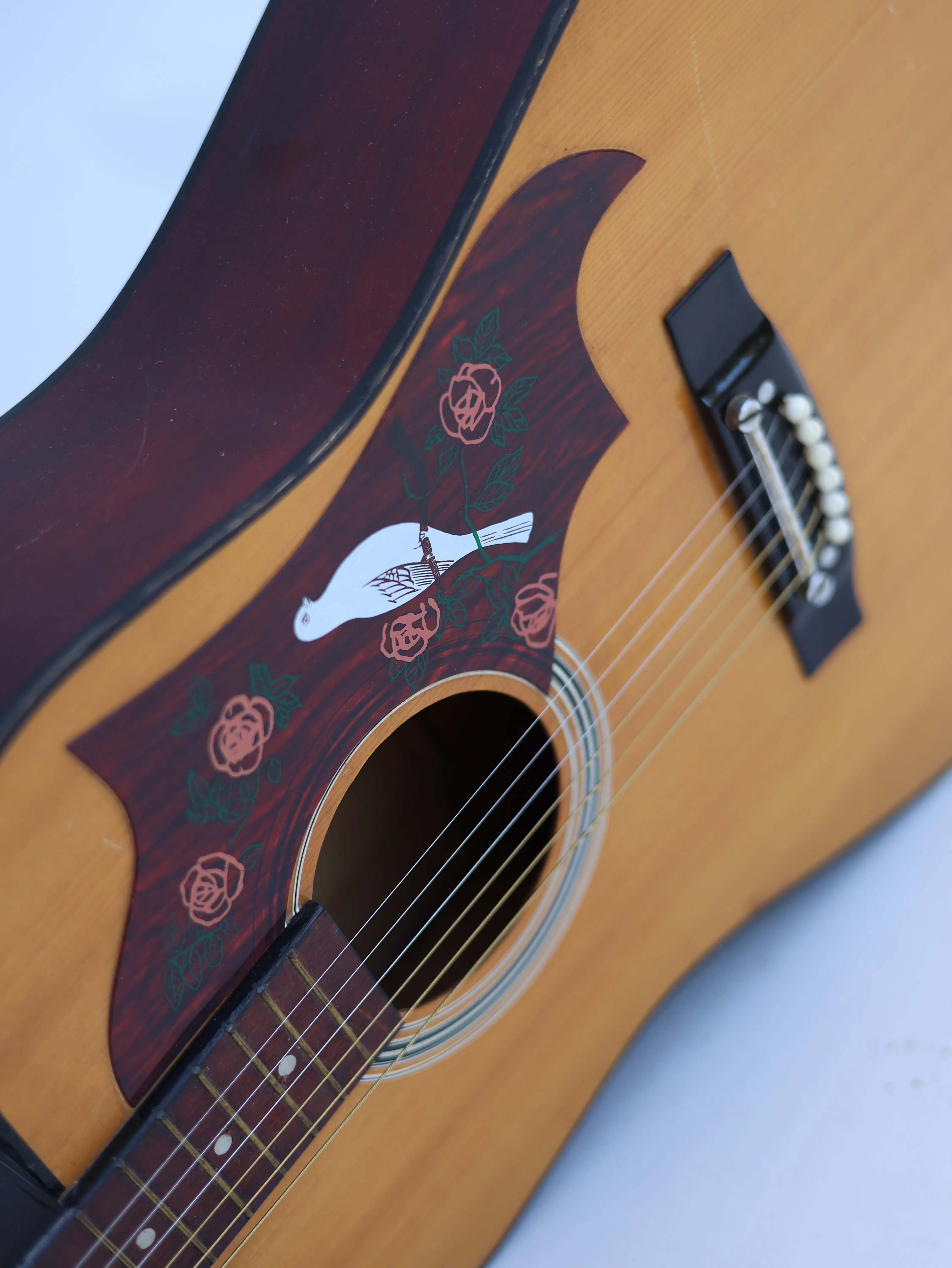 Acoustic guitar bird