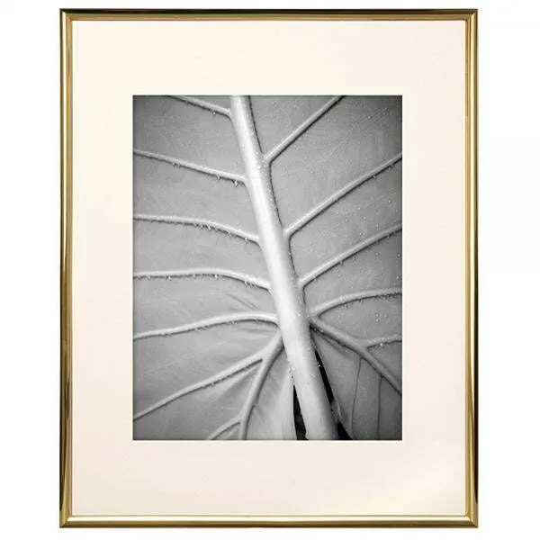 11x14 gold frame