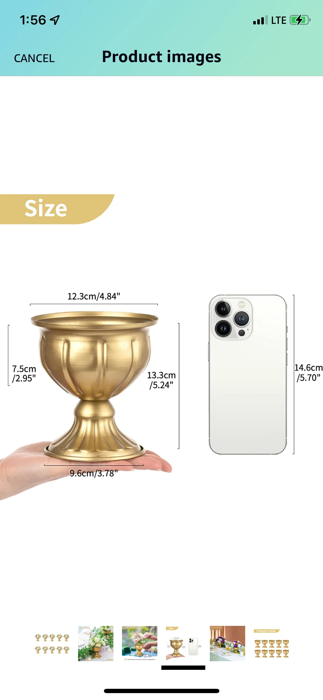 Gold Urn 5.24