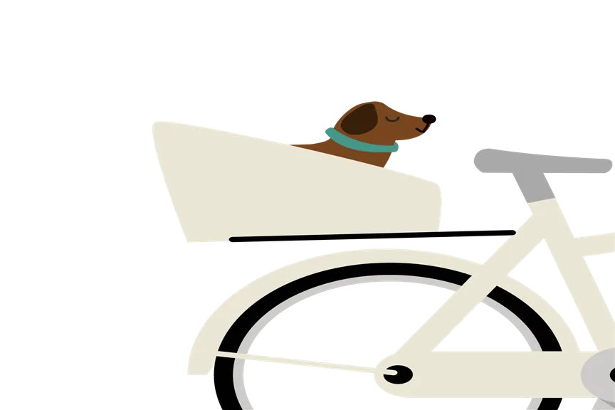 Hondenmand bagagedrager