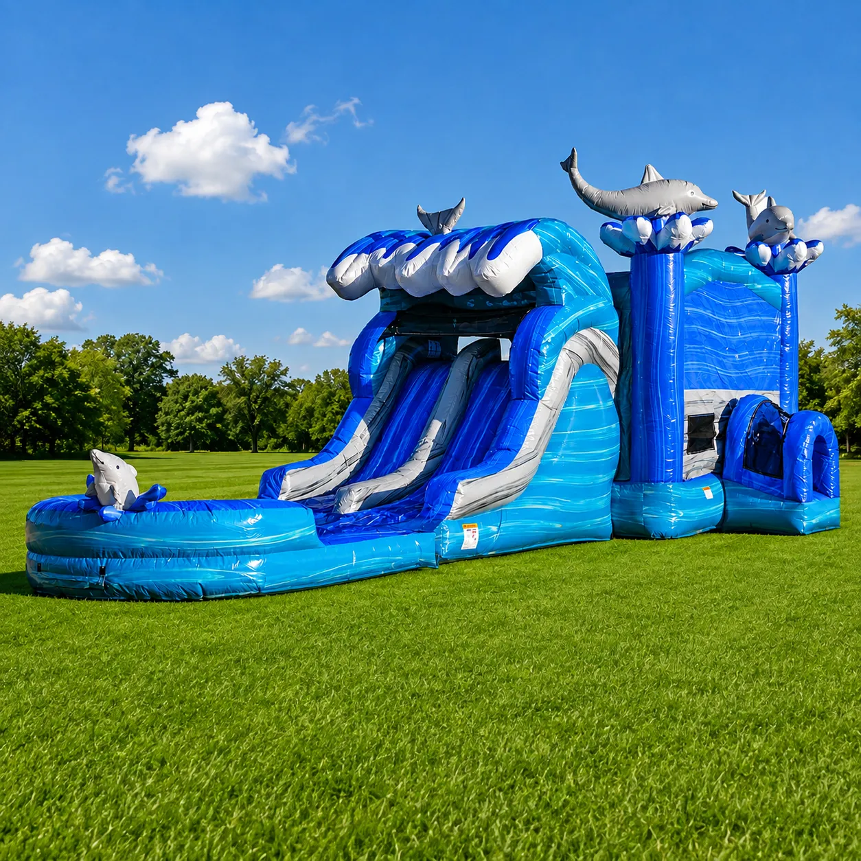 🌊 14' Dolphin Splash Combo Dual Lane Wet/Dry