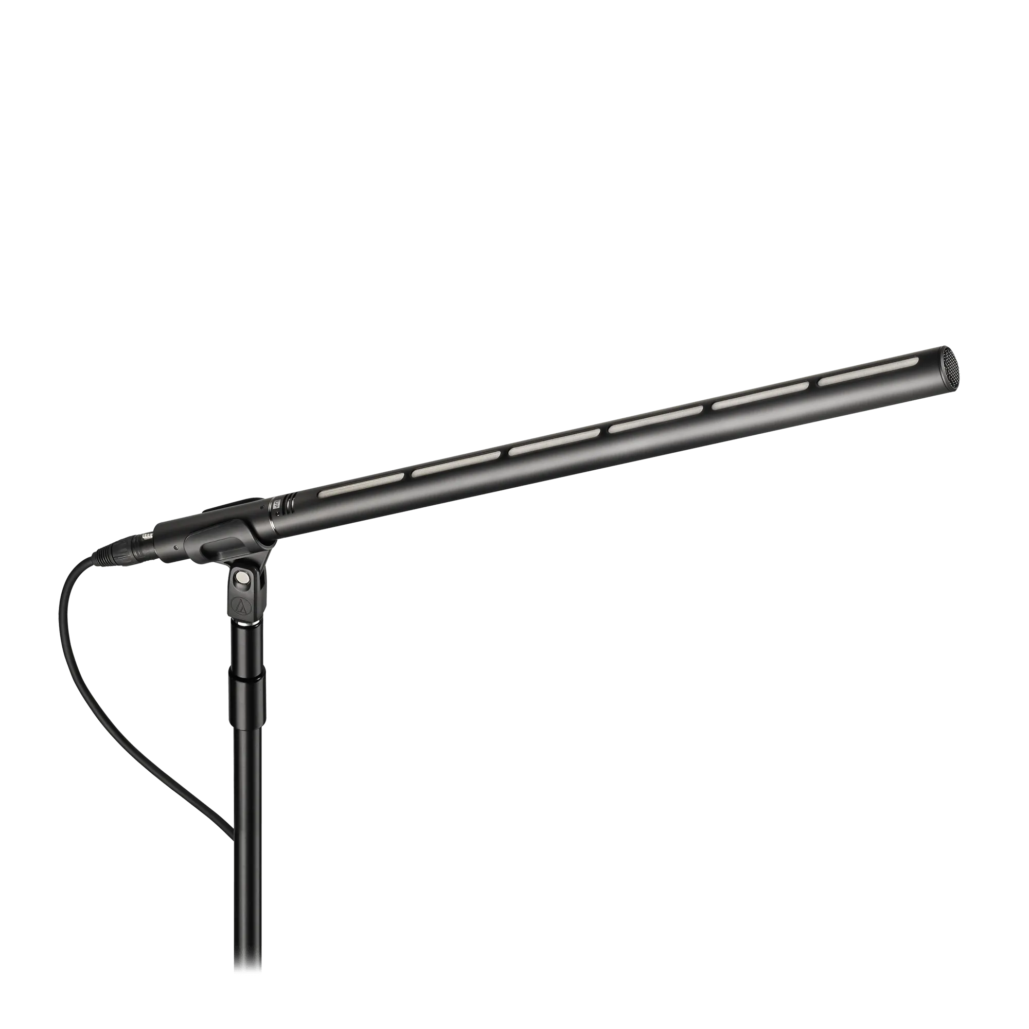 BP28L - Large Diaphragm Line + Gradient Condenser Microphone