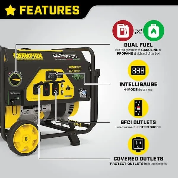 Generator, Dual Fuel, 6250 watts