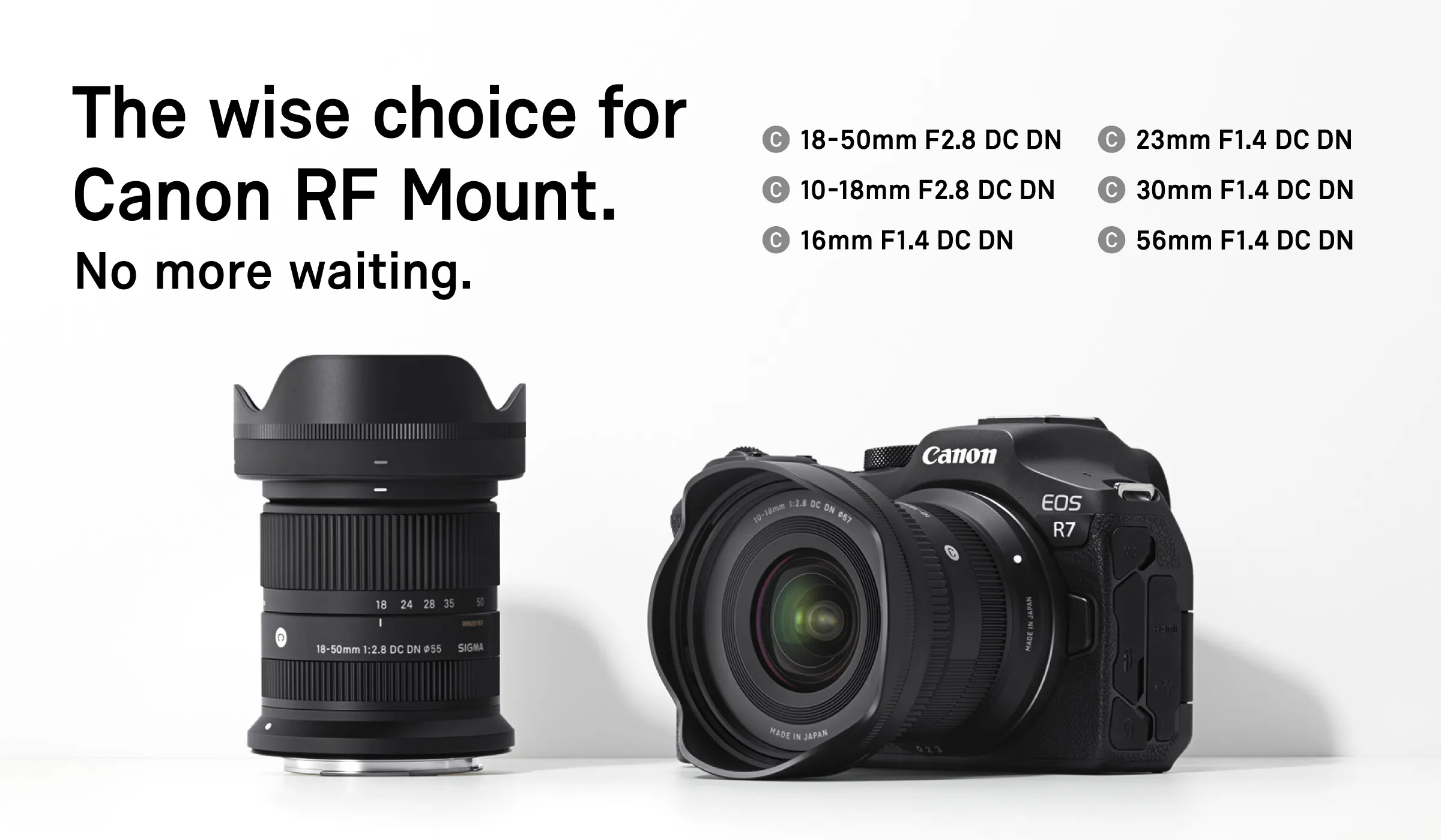 Canon RF Mount Lenses