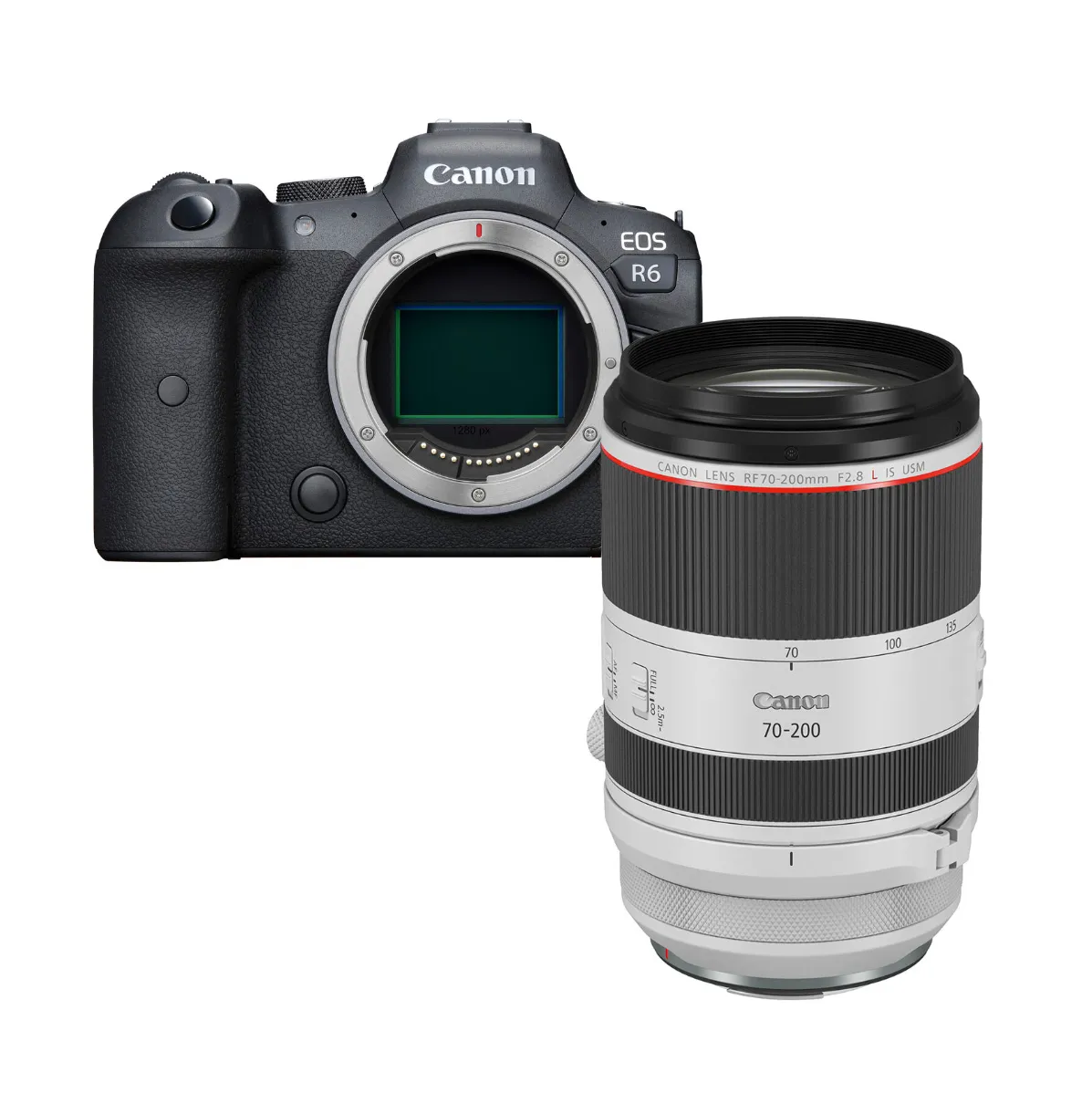 Canon R6 + RF 70-200mm f2.8
