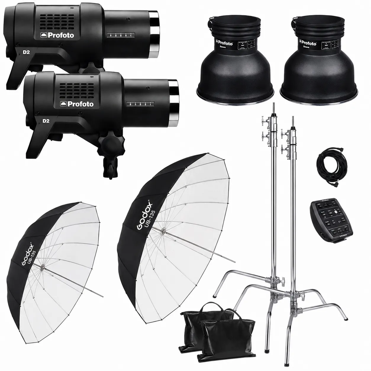 Profoto Package D2 1000W Duo Head Kit