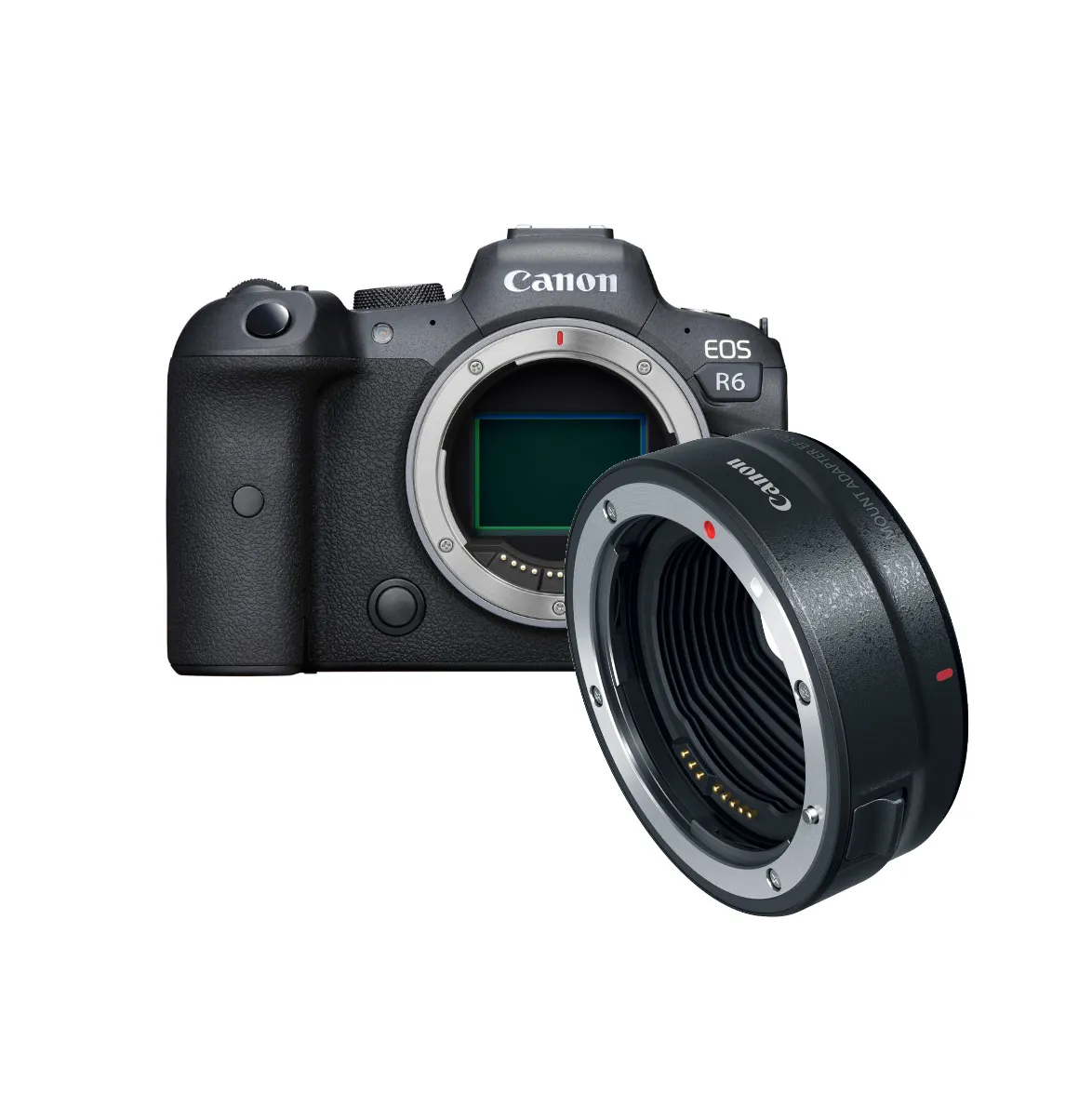 Canon R6 & EF/RF Adaptor