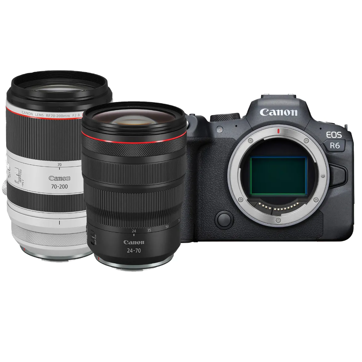 Canon R6 - RF 24-70mm & RF 70-200mm f/2.8