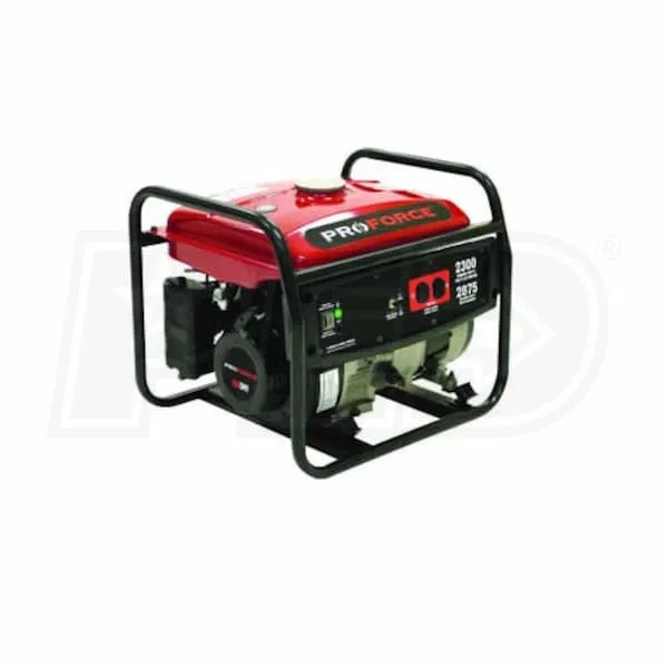 2300W Generator