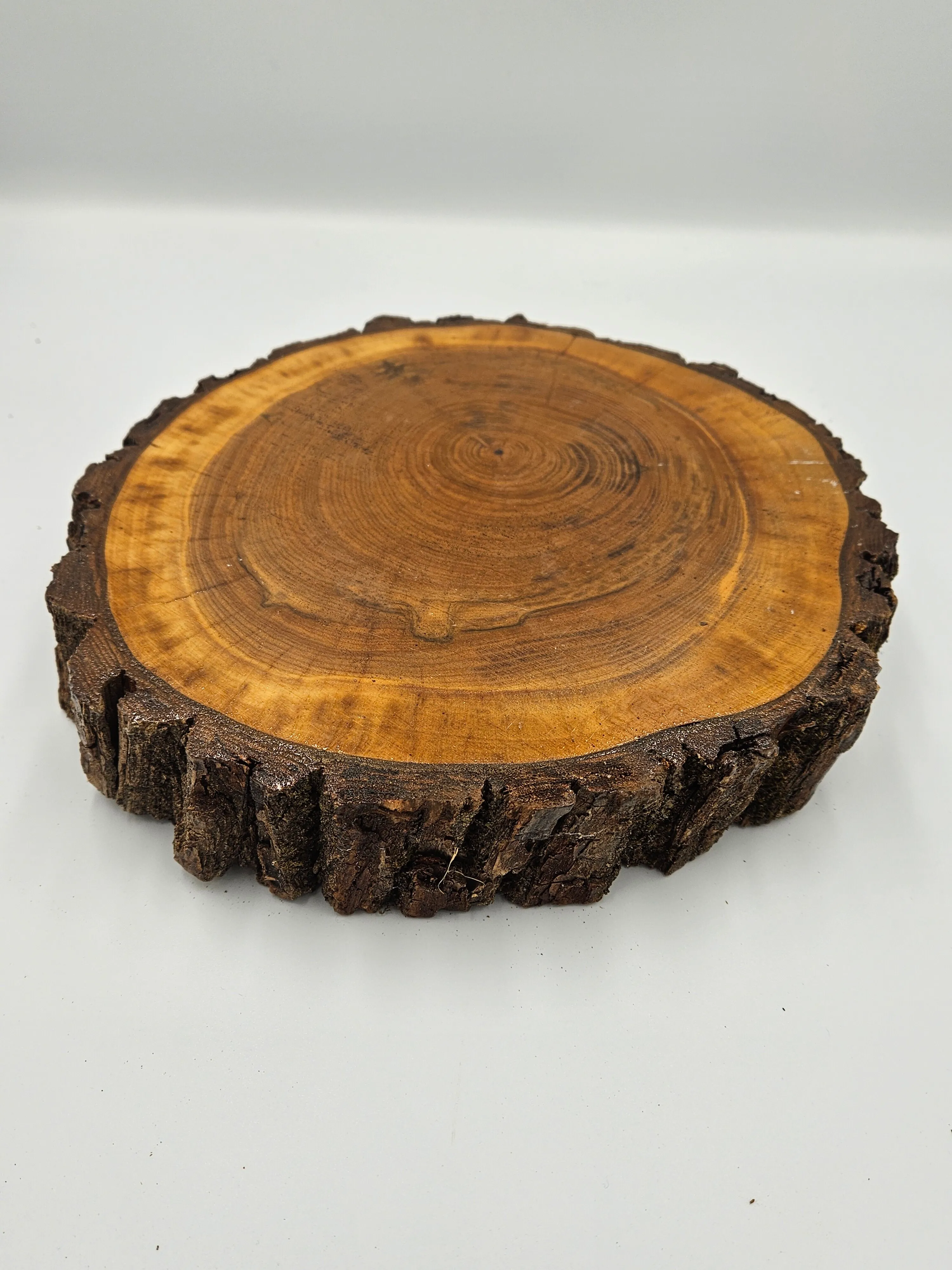 Glazed Wood Slice - 9.5in