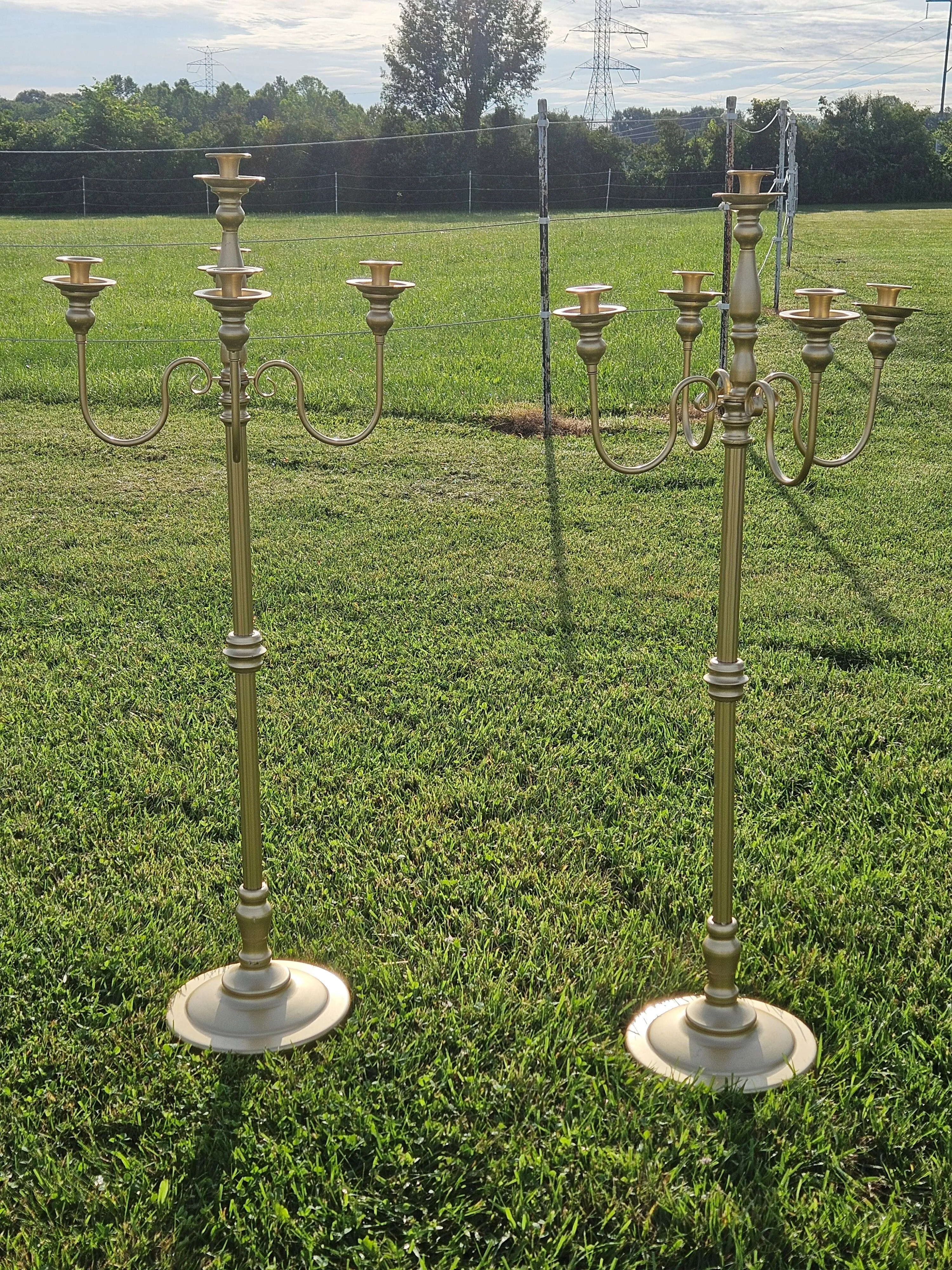 5 Arm Candelabra - Gold - 50in
