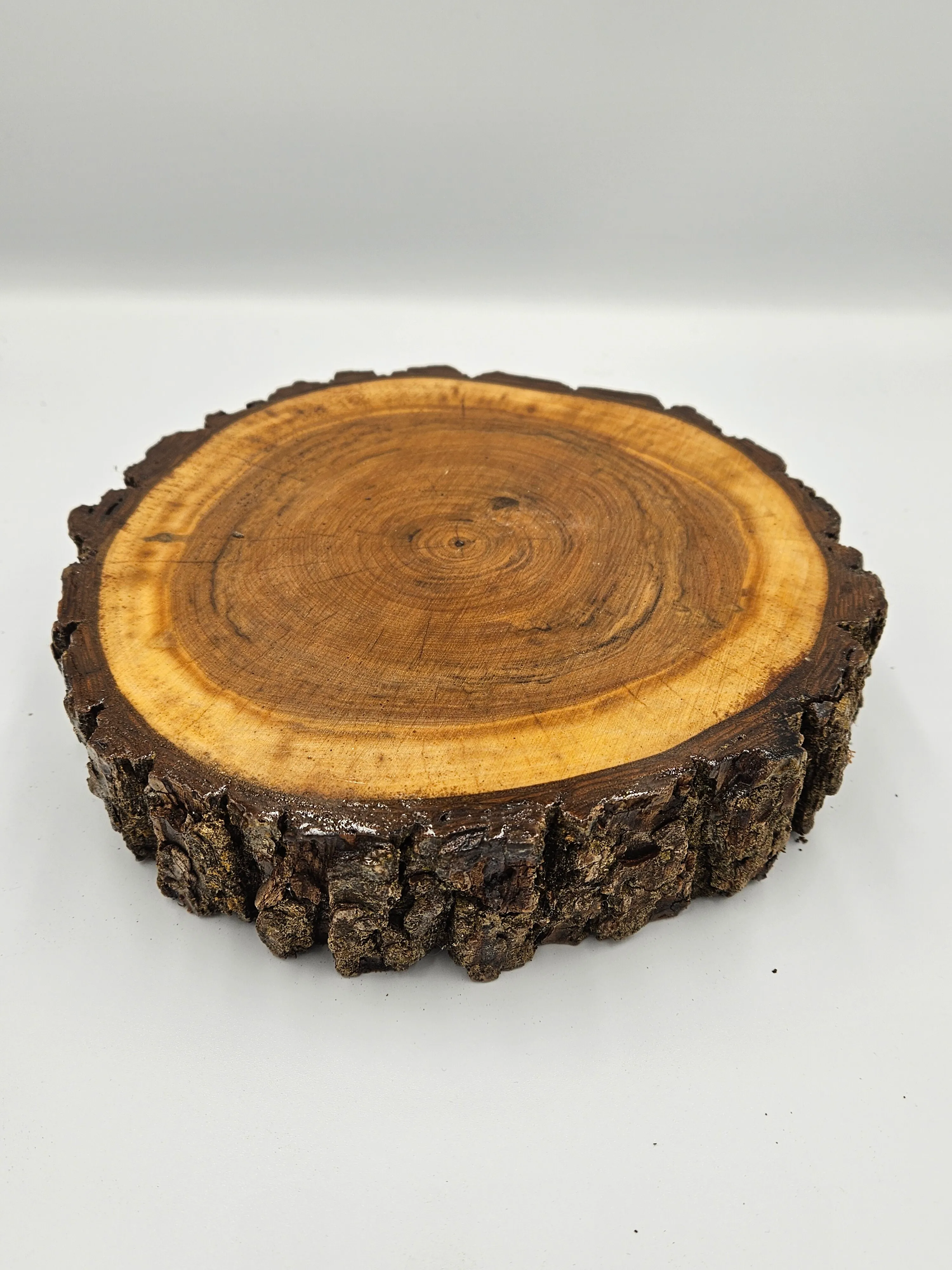 Glazed Wood Slice - 8in