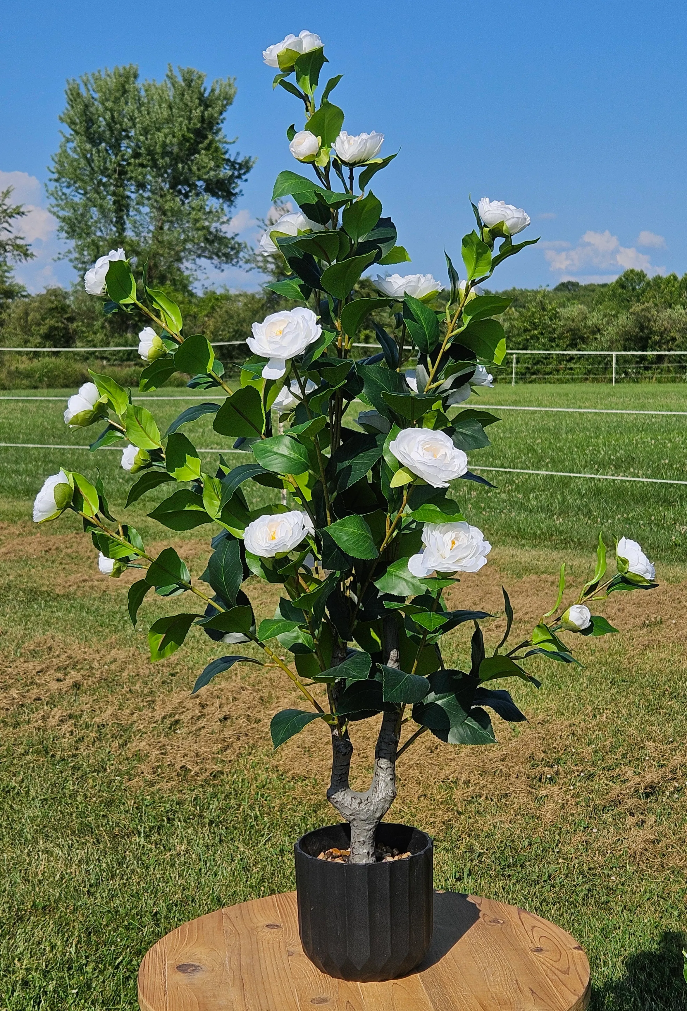Flower Tree - White - 36in