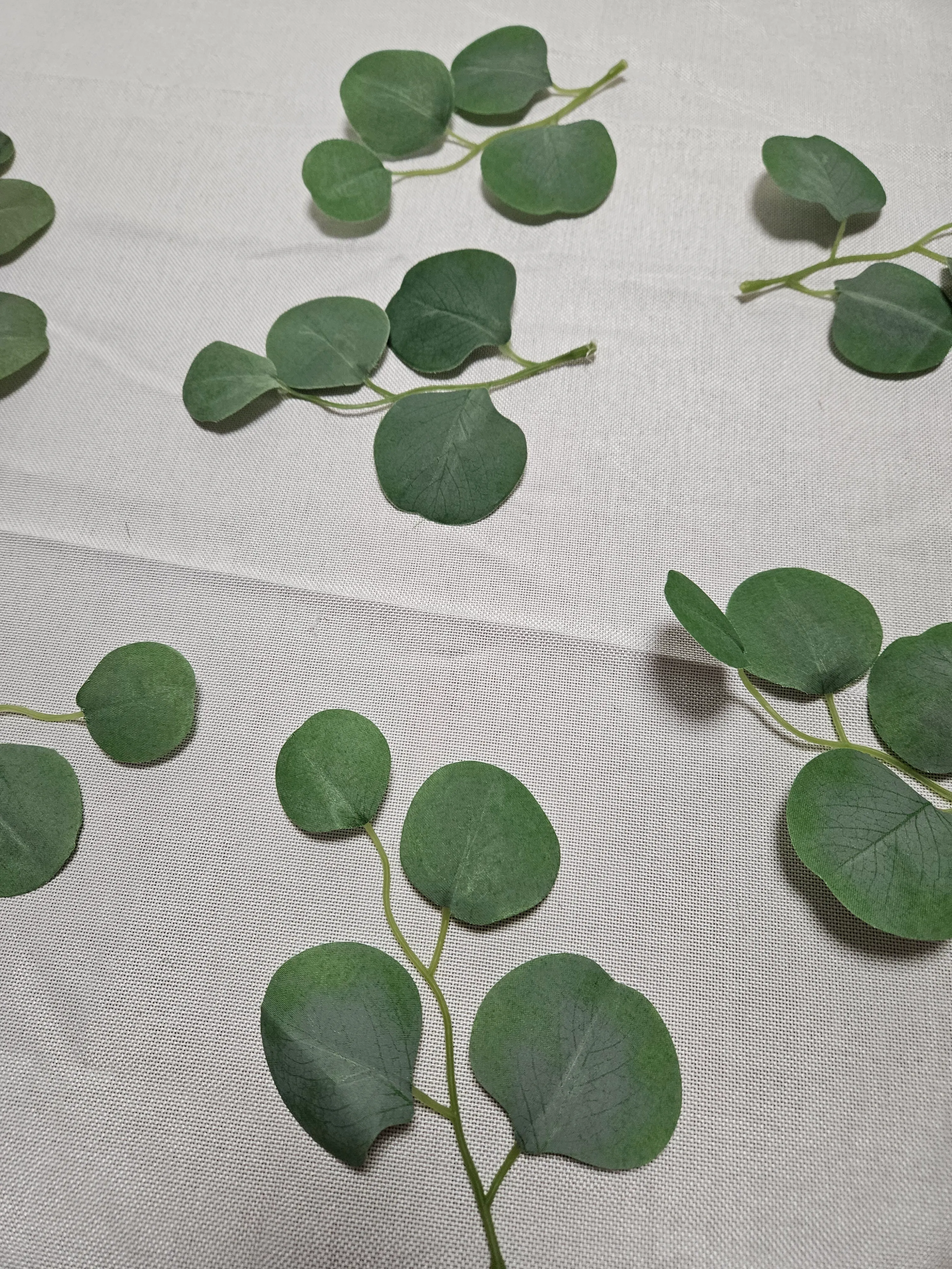 Silver Dollar Eucalyptus Pieces - 7in