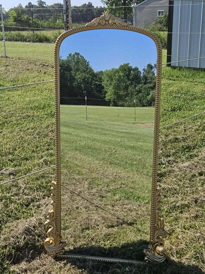 Gold Mirror - 24" x 48"