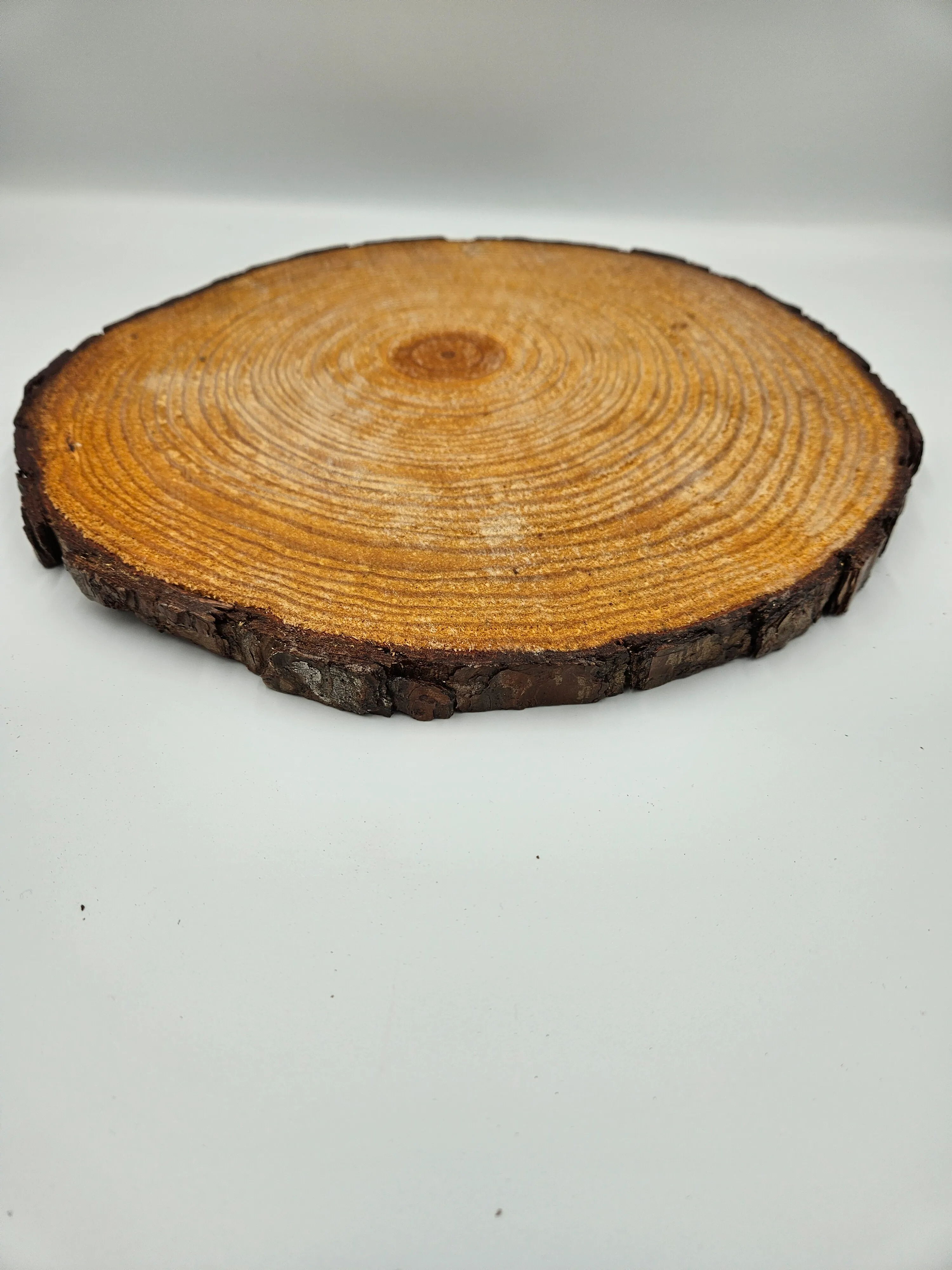 Wood Slice - Stained - 13in