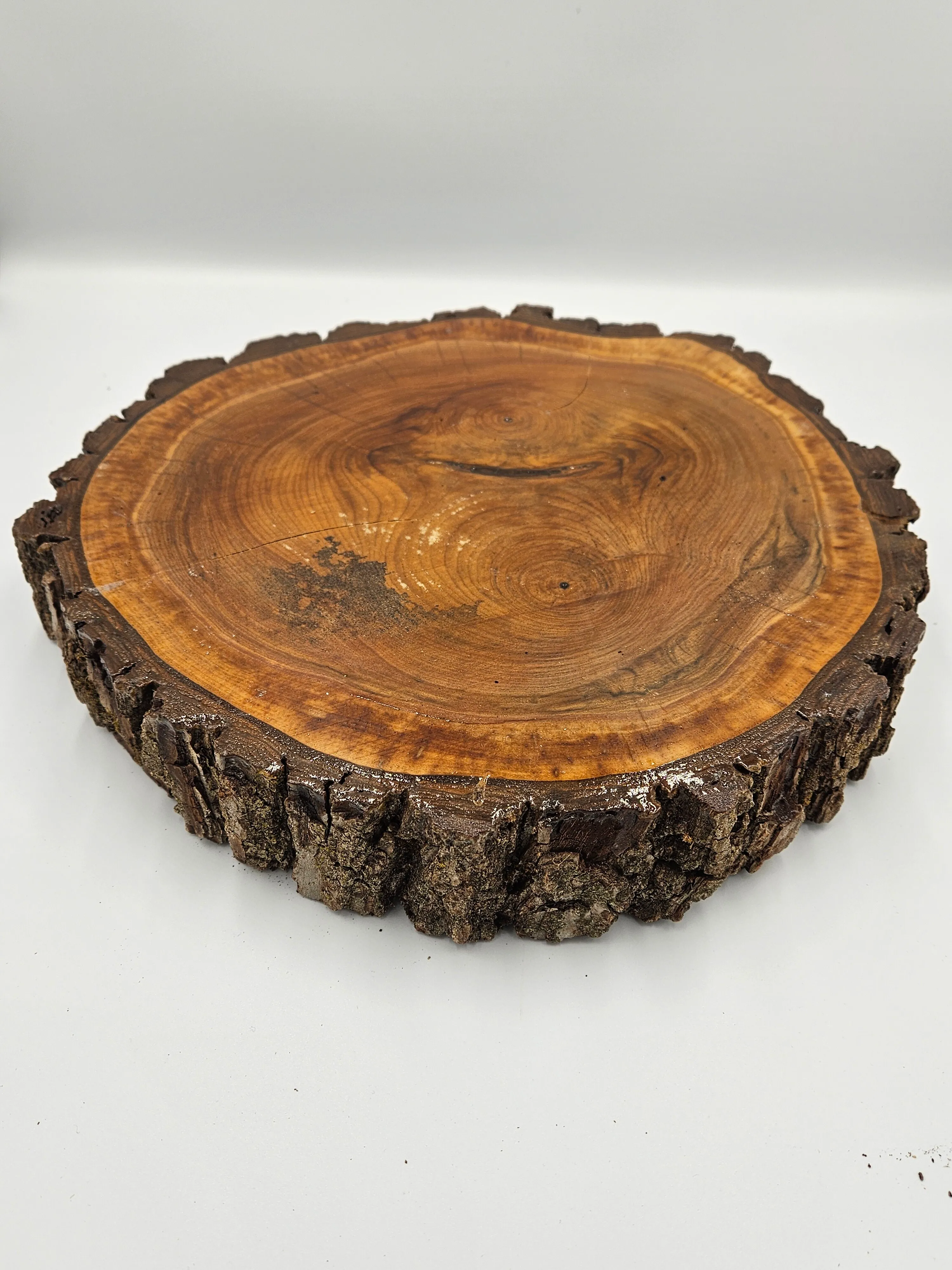 Glazed Wood Slice - 12in