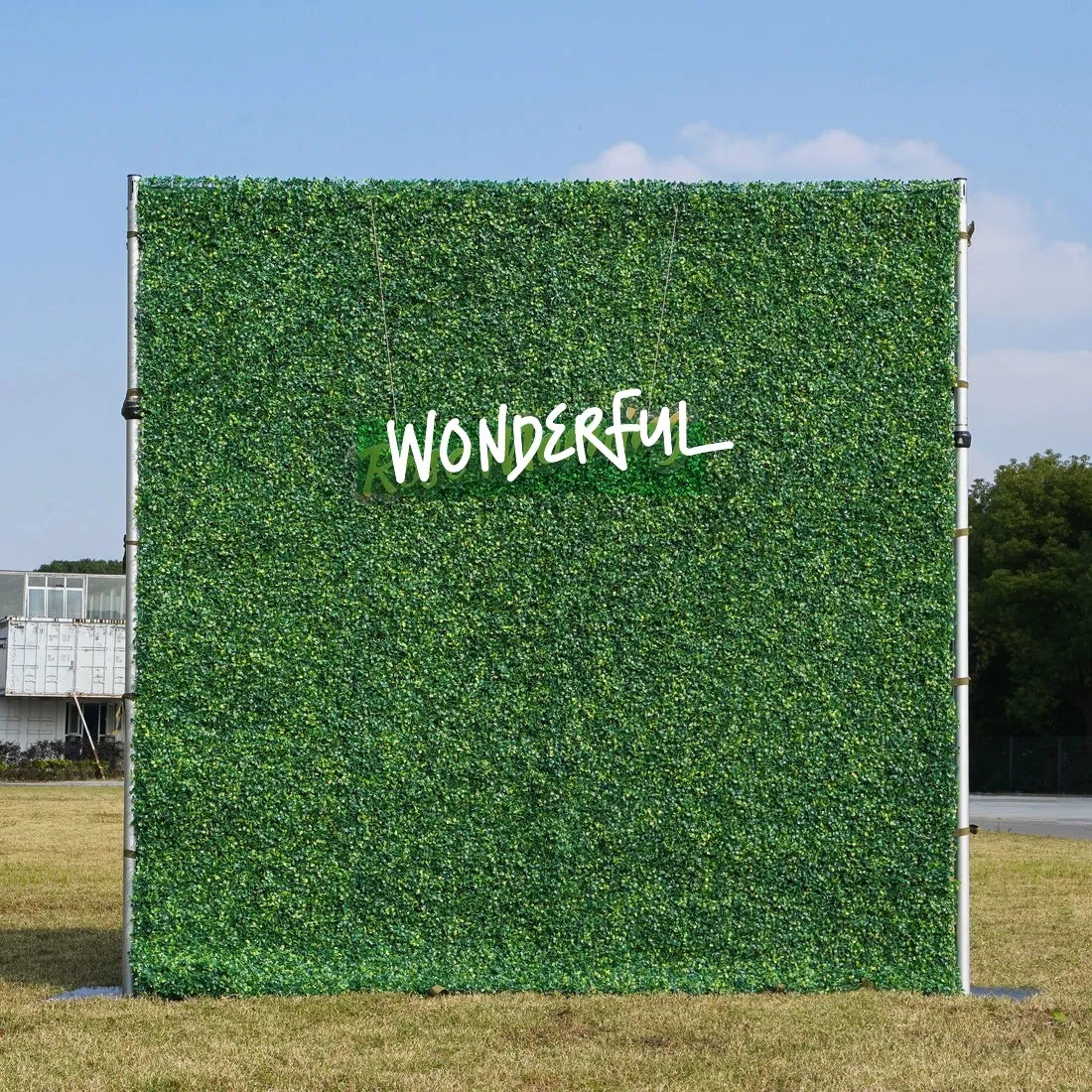 Boxwood Greenery Wall - 8ft X 8ft