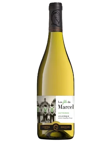 VIN BLANC LES FILS DE MARCEL - carton de 6