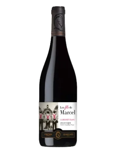 VIN ROUGE LES FILS DE MARCEL - carton de 6