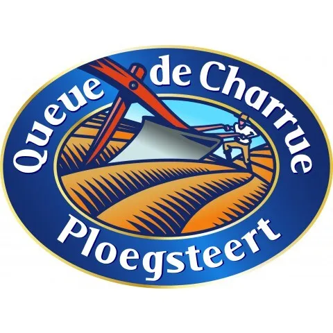 Fût de bière 20L - QUEUE DE CHARUE 9°