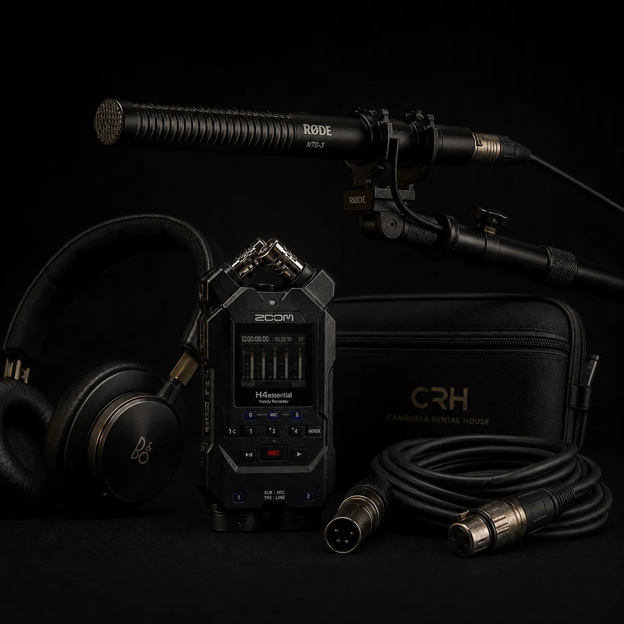 Audio