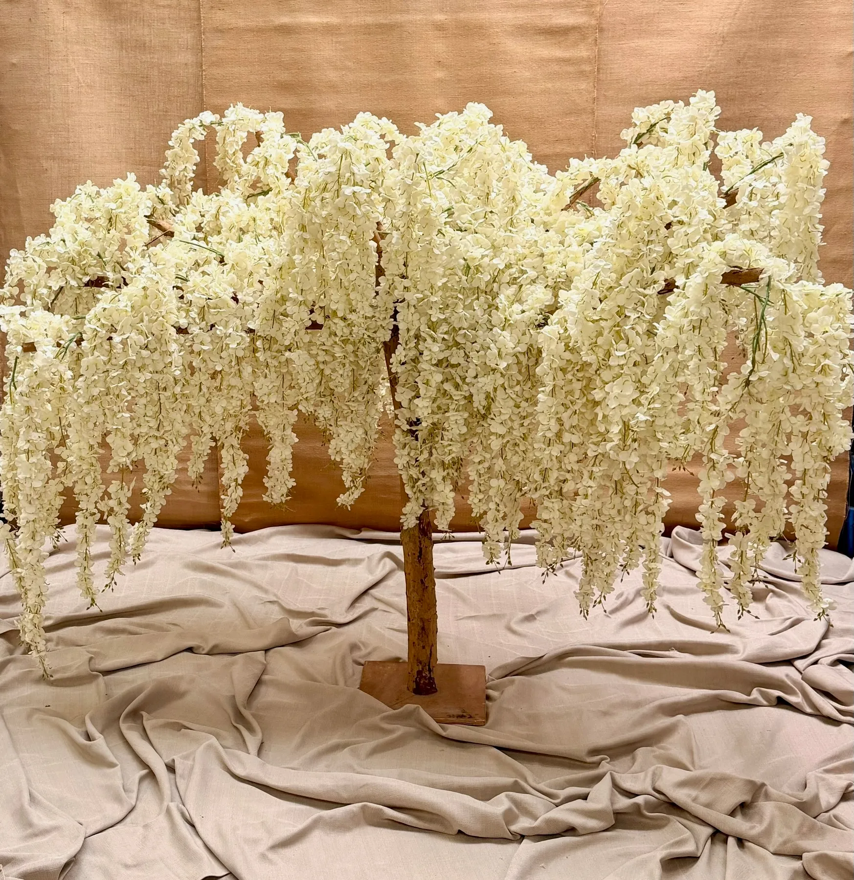 Trees