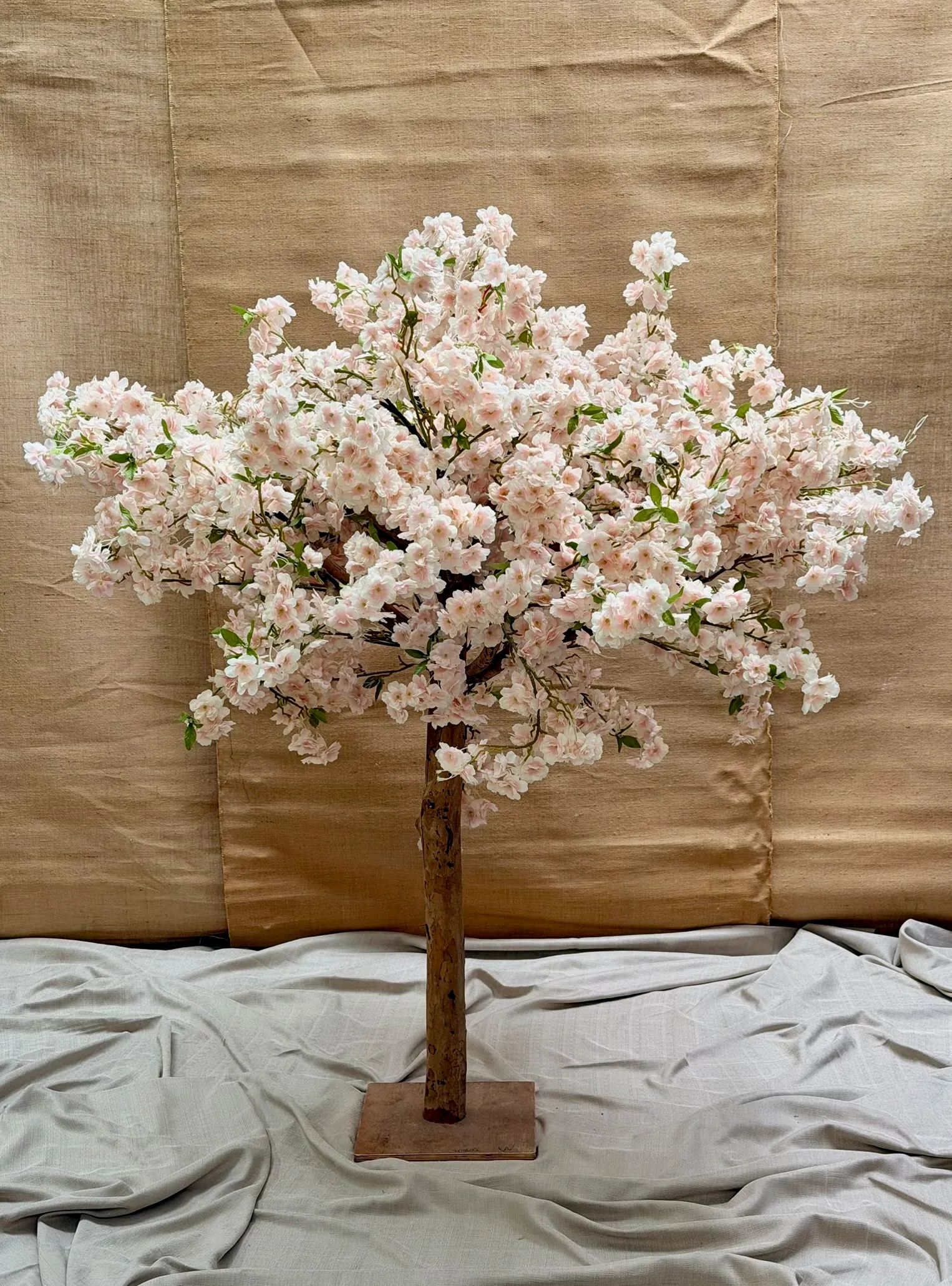 Floral