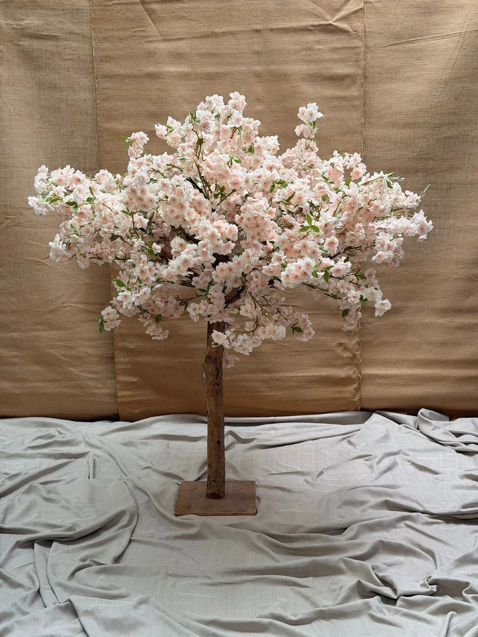 Pink Blossom Tree
