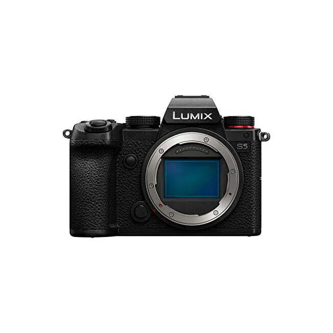 Panasonic Mirrorless