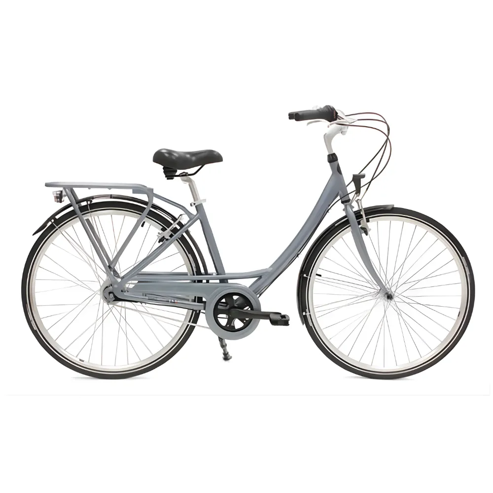 Vélo de ville Arcade