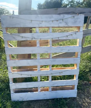 Wooden Pallet