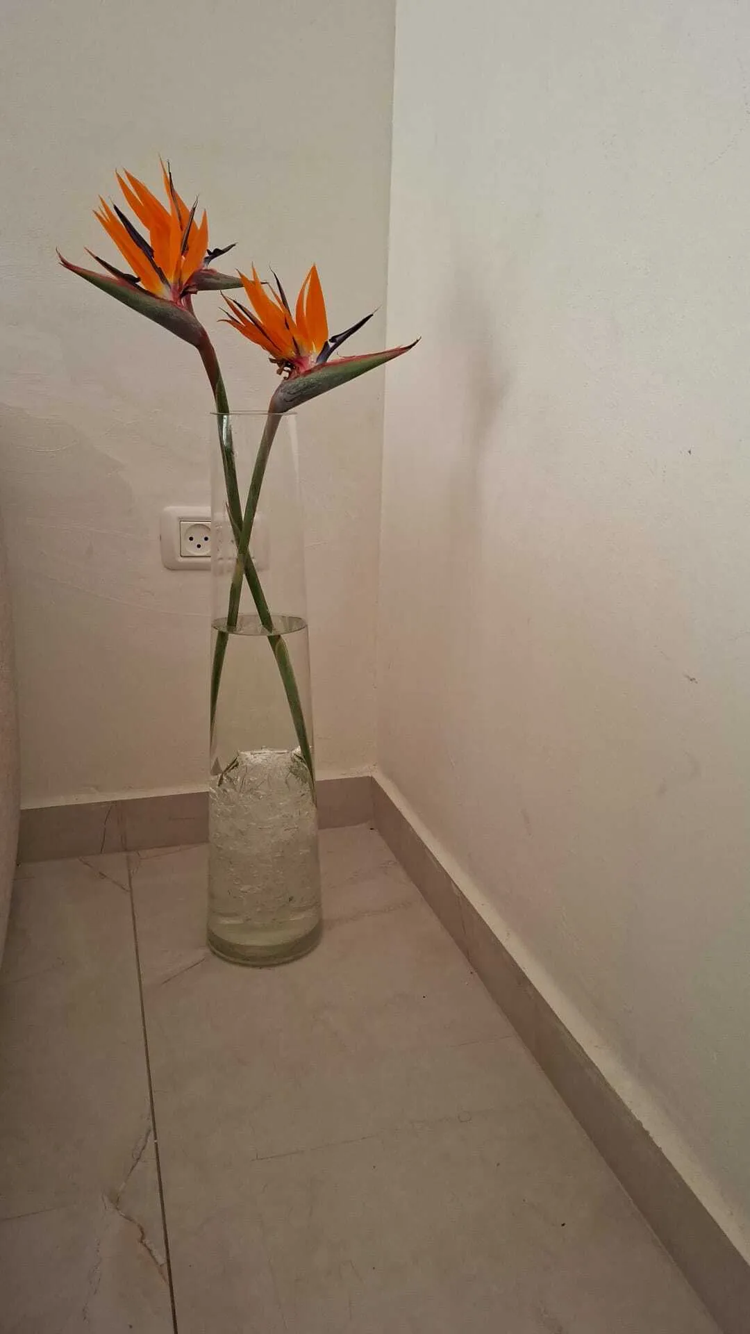 אגרטל זכוכית גבוה וצר