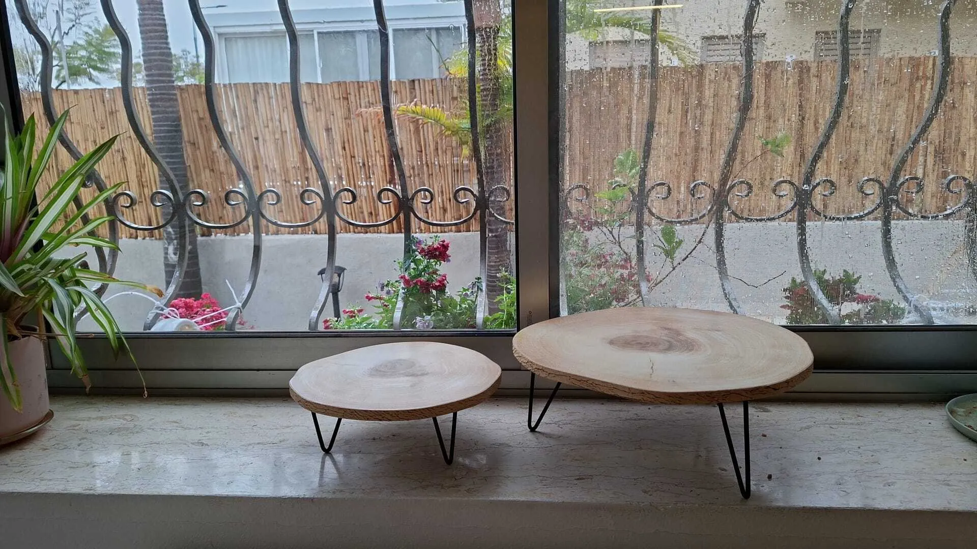 סטדנים מעץ להגשה