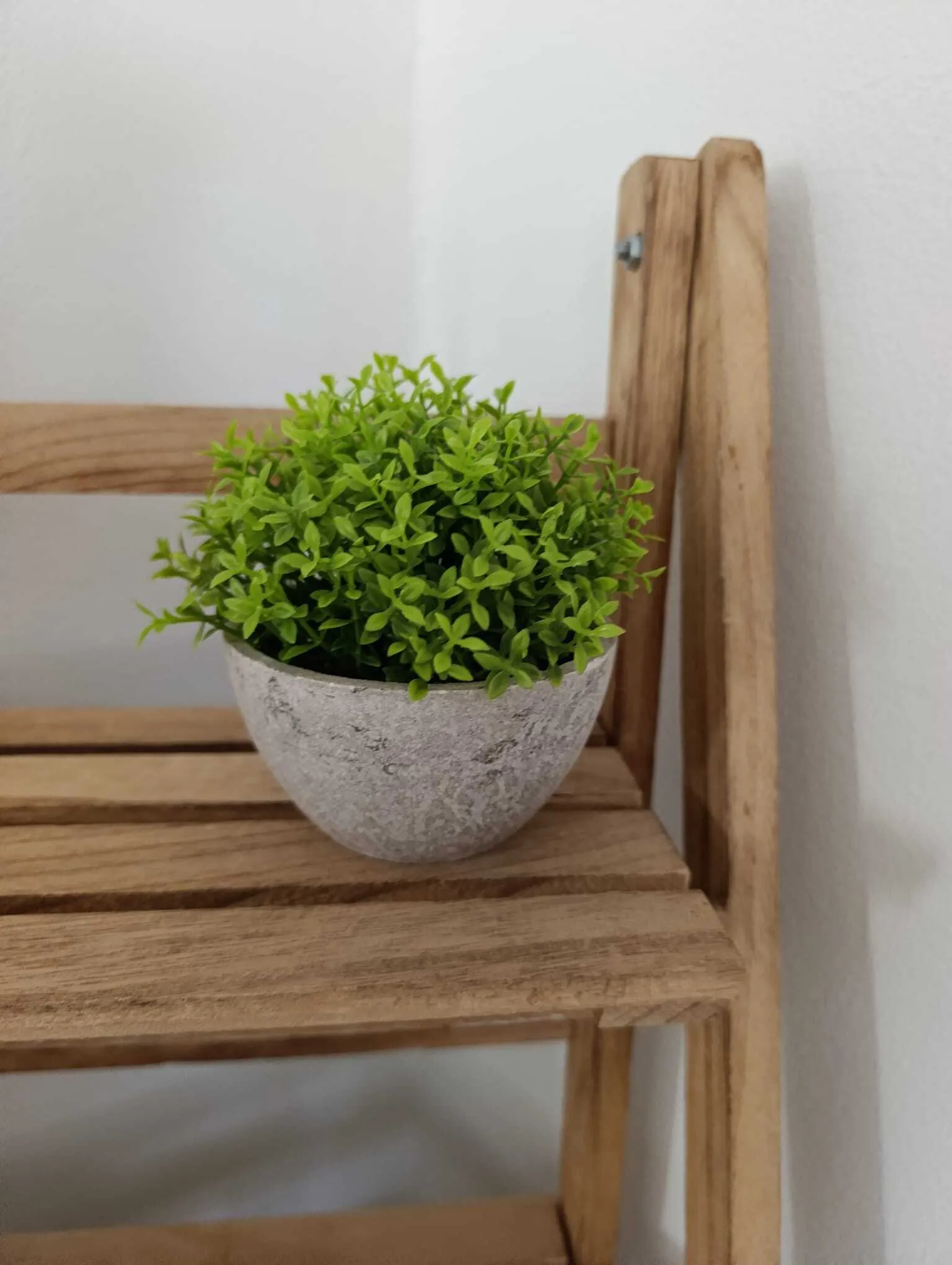 עציצים דמוי בטון