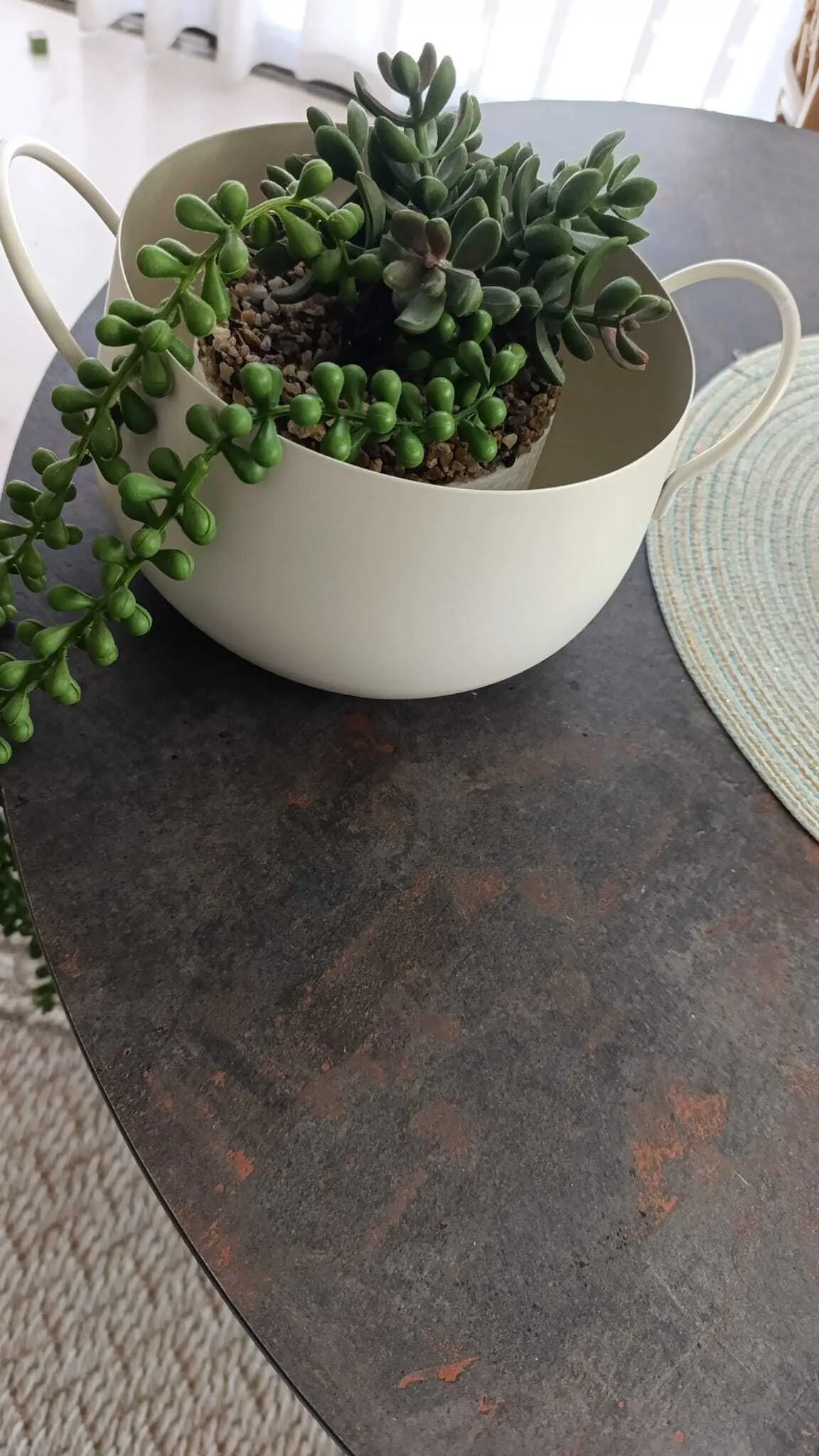 עציץ מתכת שמנת