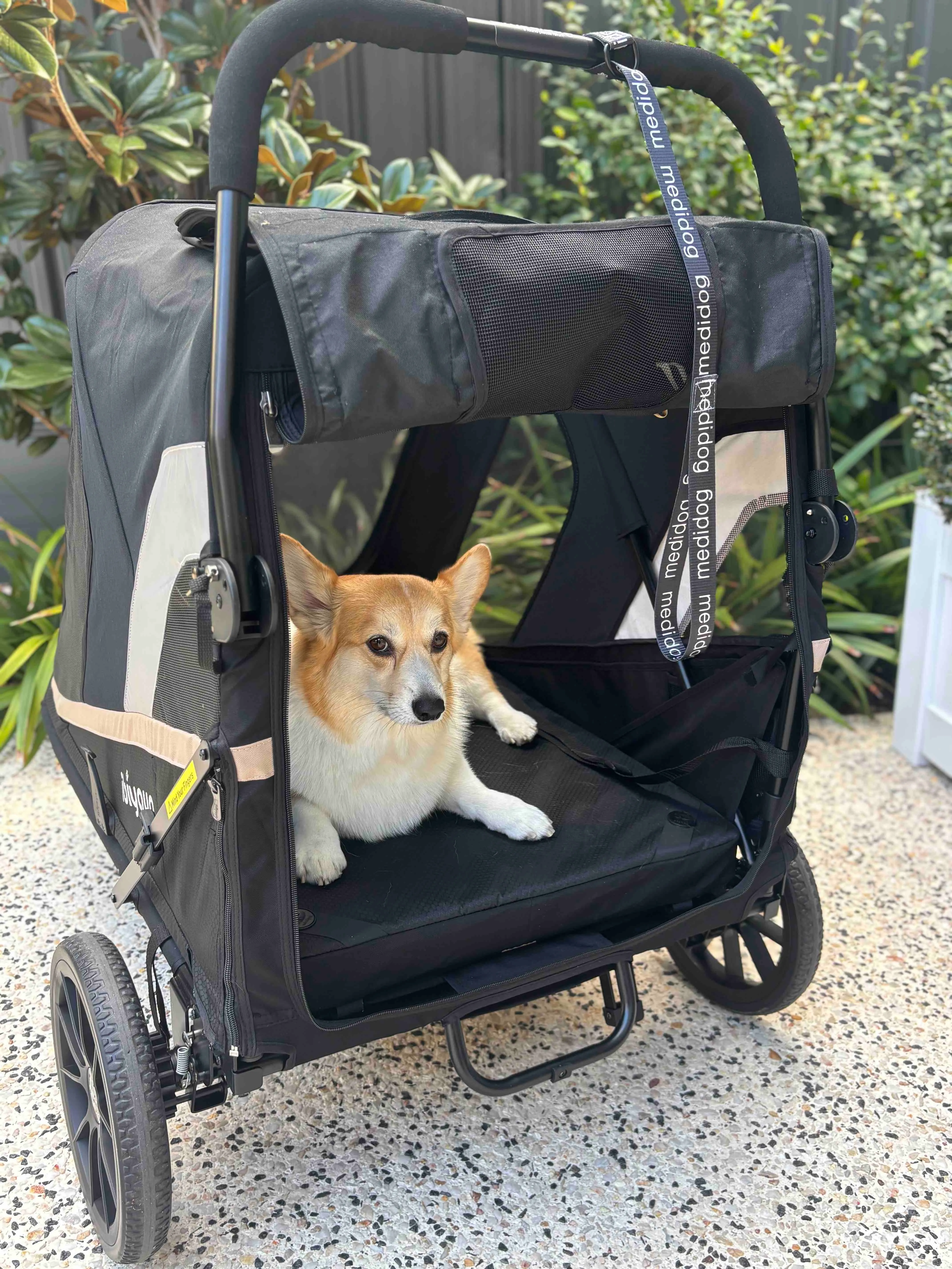 ex-hire grande pram and ramp