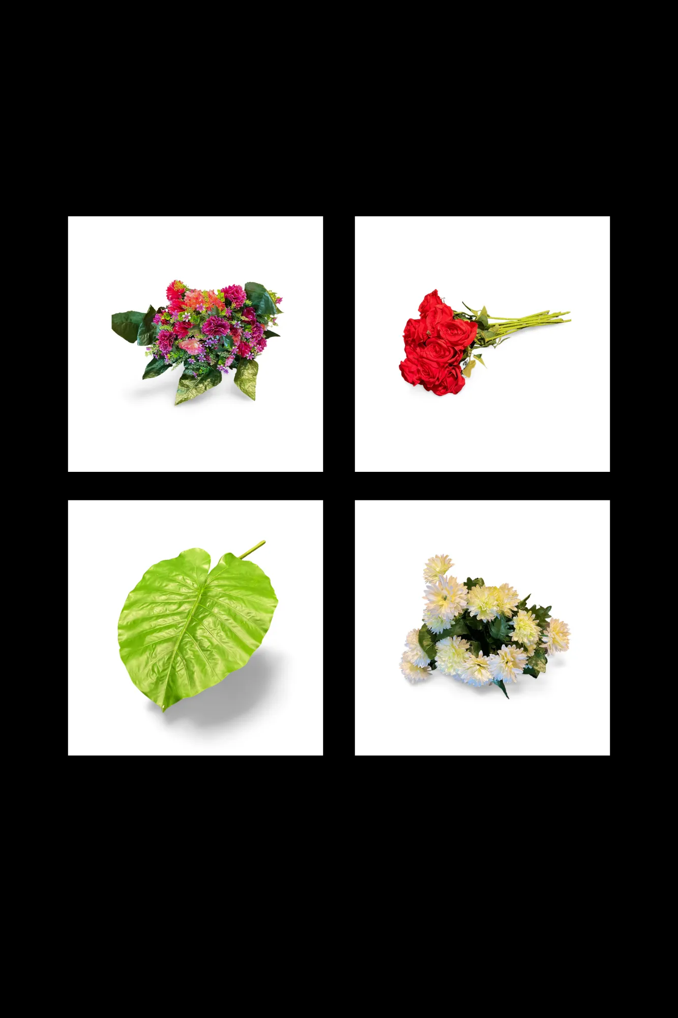 Flowers / Plants / Garden