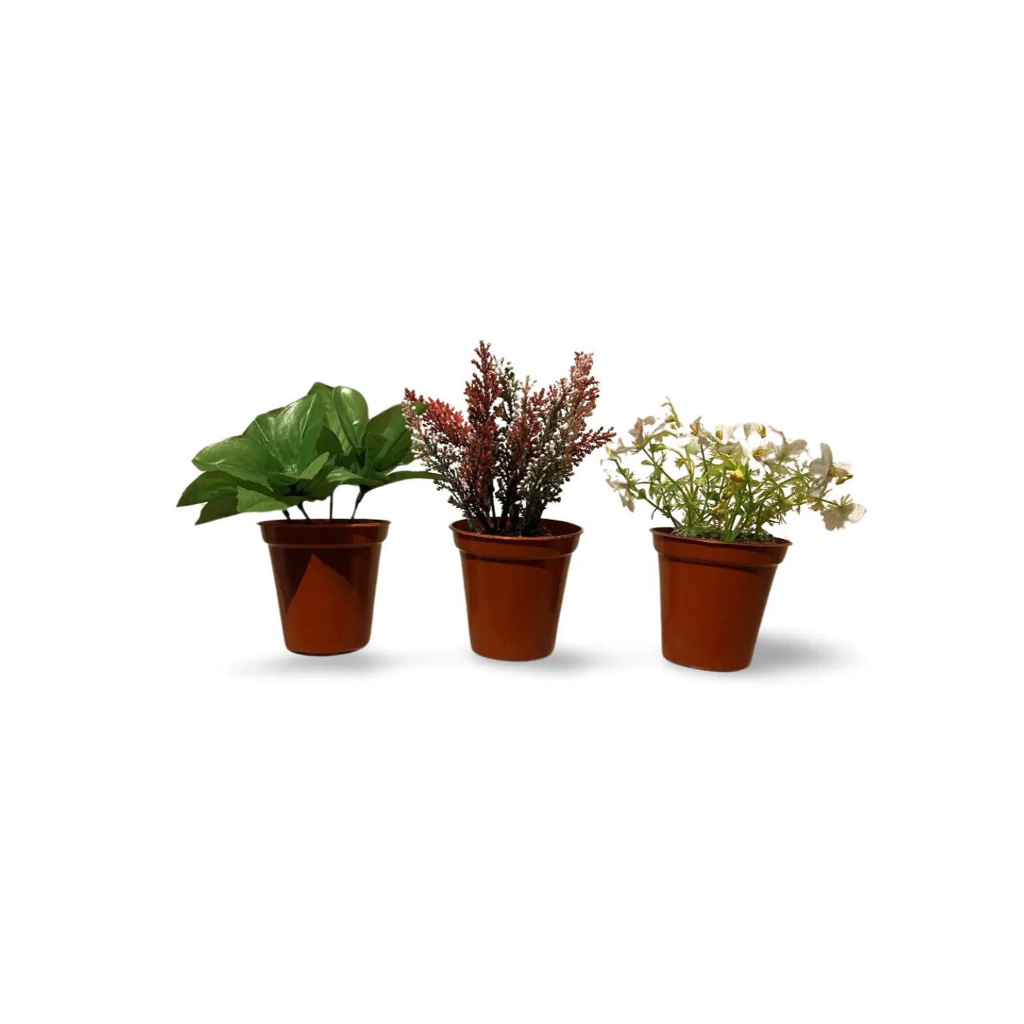 Potted Plants - Small x3